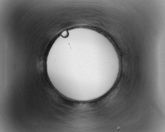 X0000089831497200707191816