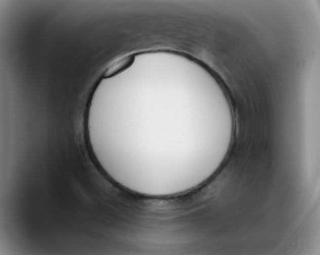 X0000089831500200707191816