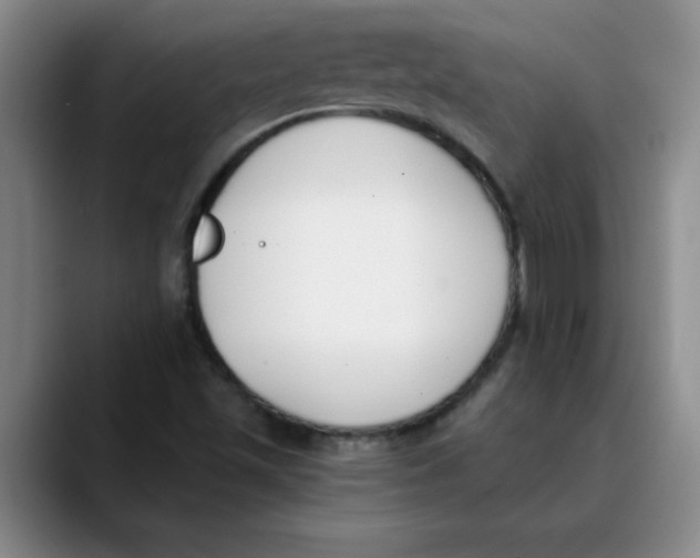 X0000089831501200707191816