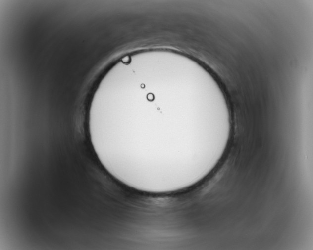 X0000089831502200707191816