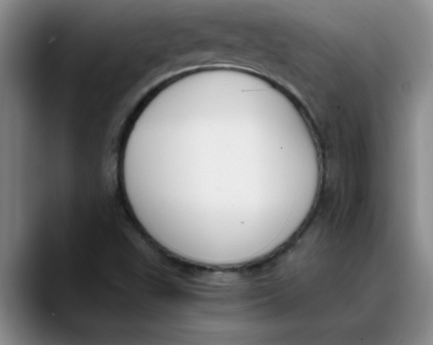 X0000089831503200707191816