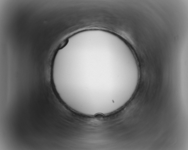 X0000089831504200707191816