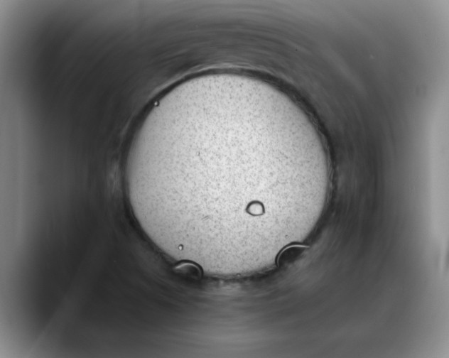 X0000089831505200707191816