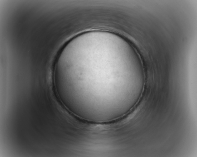 X0000089831506200707191816