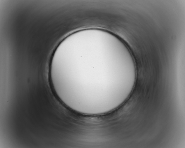 X0000089831508200707191816