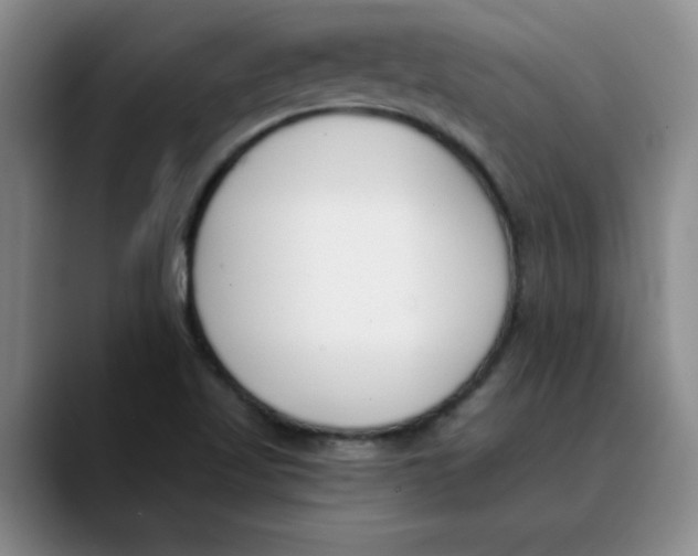 X0000089831509200707191816