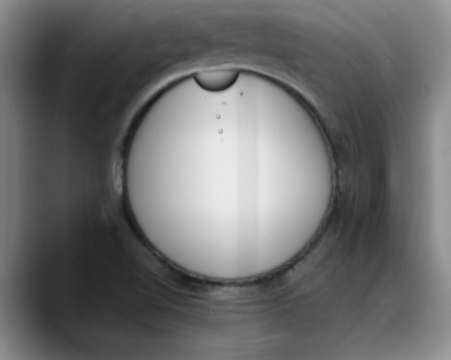 X0000089831510200707191816