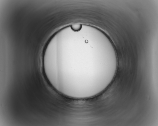 X0000089831515200707191817