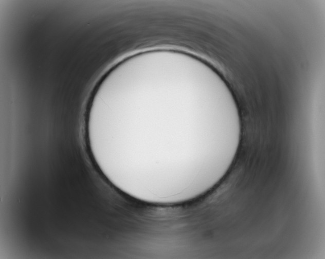 X0000089831518200707191817