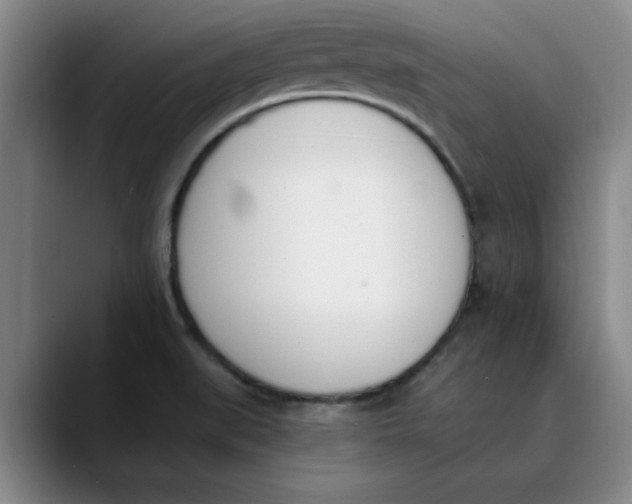 X0000089831519200707191817