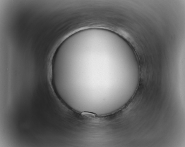 X0000089831520200707191817