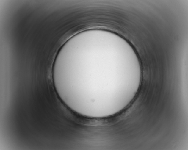 X0000089831521200707191817