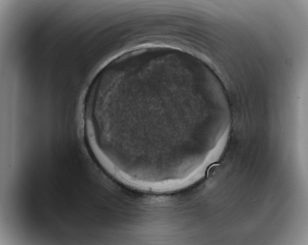 X0000089831522200707191817