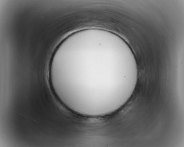 X0000089831523200707191817