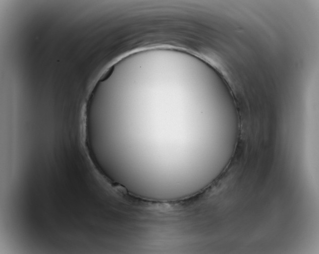 X0000089831524200707191817