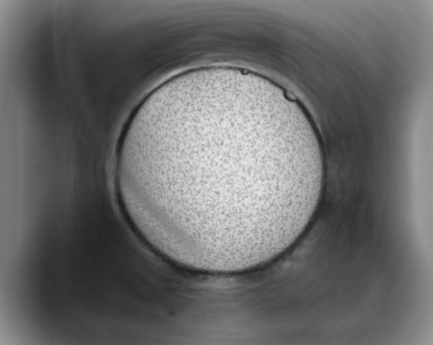 X0000089831525200707191817