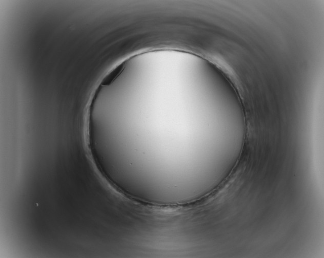 X0000089831528200707191817