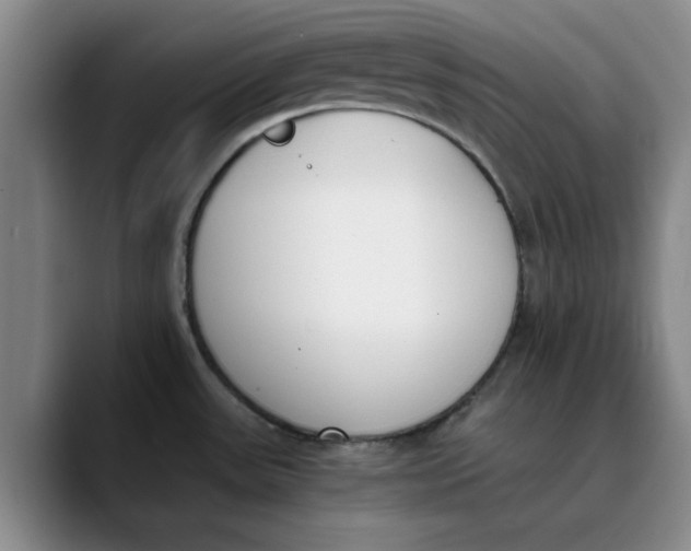 X0000089831531200707191817