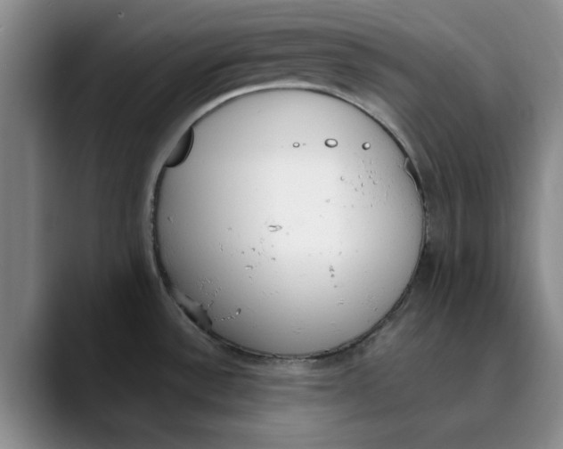 X0000089831532200707191817