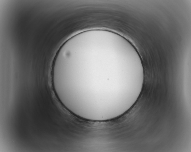 X0000089831534200707191817