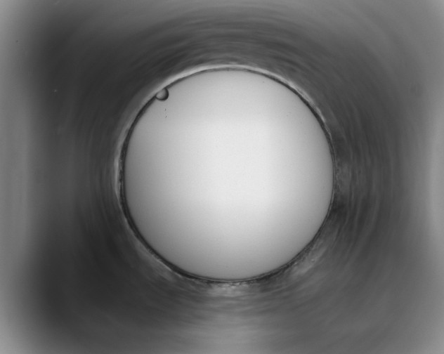 X0000089831535200707191817