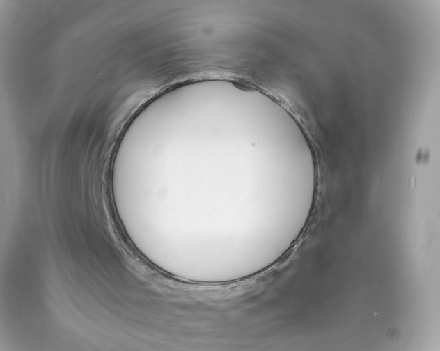 X0000089830001200707262034