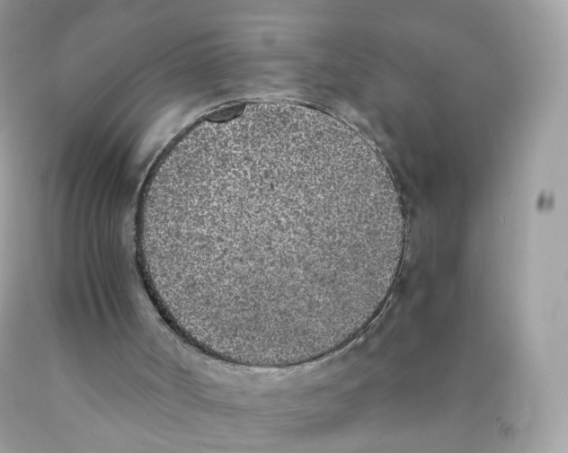 X0000089830002200707262034