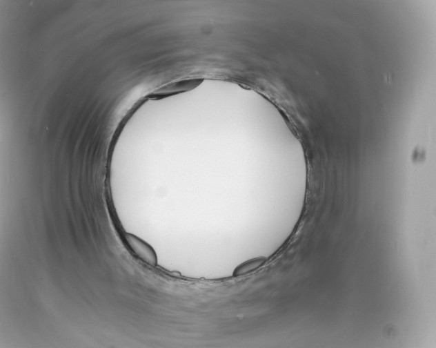 X0000089830003200707262034