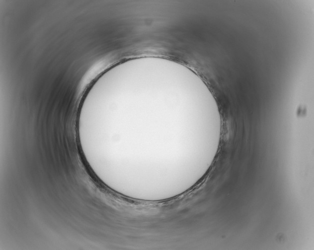 X0000089830004200707262034