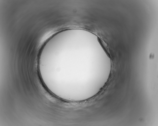 X0000089830005200707262034