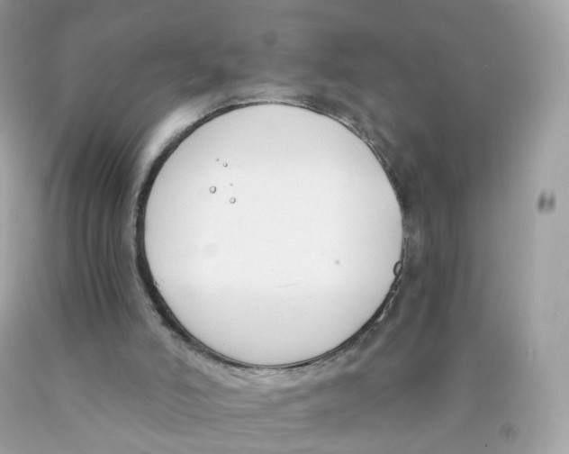X0000089830006200707262034