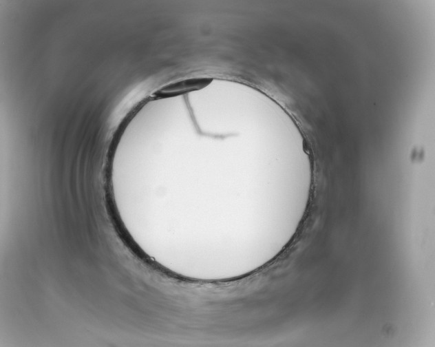 X0000089830007200707262034