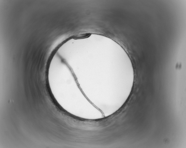 X0000089830008200707262034