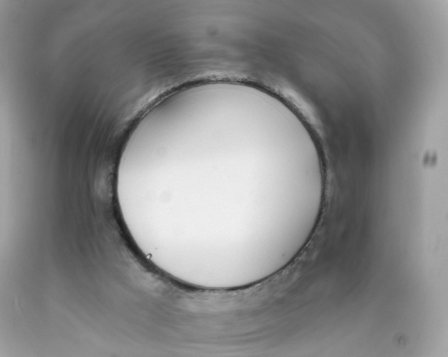 X0000089830009200707262034