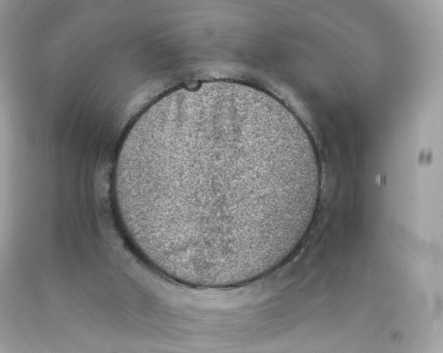 X0000089830010200707262034