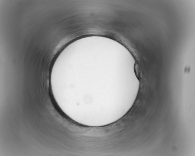 X0000089830011200707262034