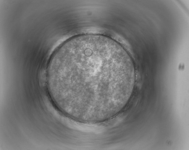 X0000089830012200707262034