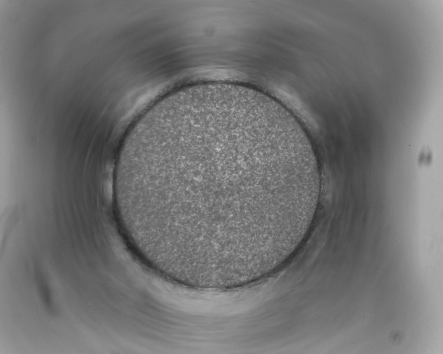 X0000089830014200707262034
