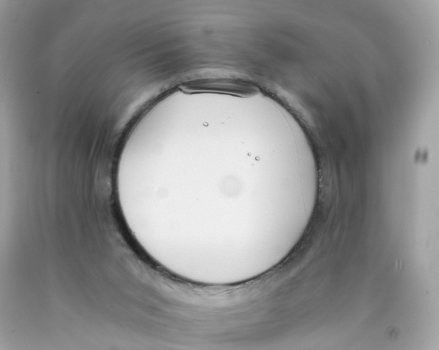 X0000089830015200707262034