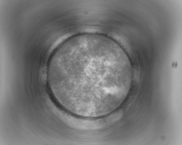 X0000089830016200707262034