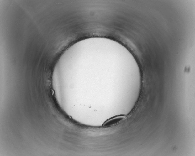 X0000089830017200707262034