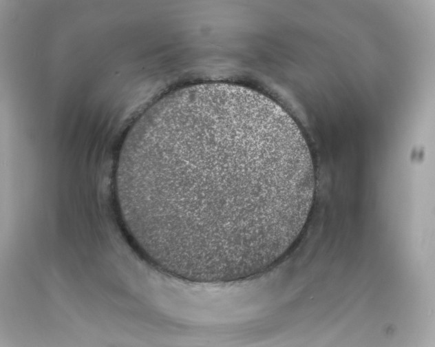 X0000089830018200707262034