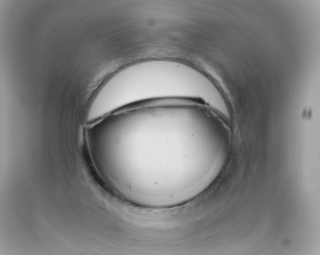 X0000089830019200707262034