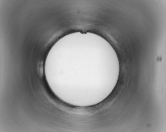 X0000089830020200707262034