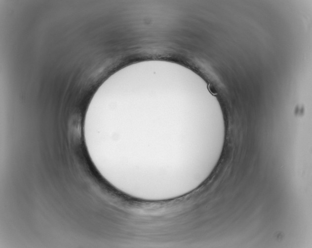 X0000089830021200707262034