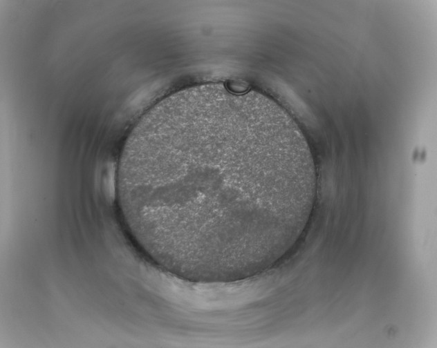 X0000089830022200707262034