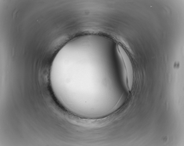X0000089830023200707262034