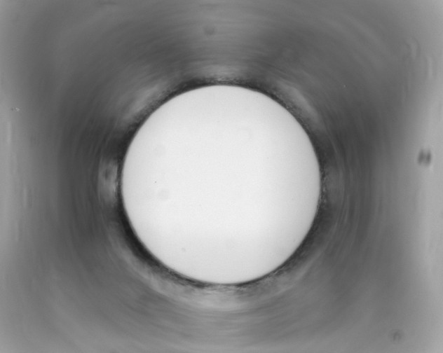 X0000089830024200707262034