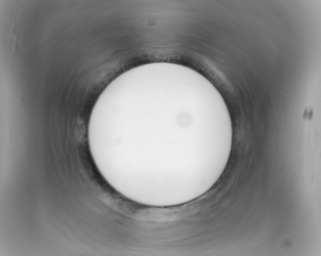 X0000089830025200707262034