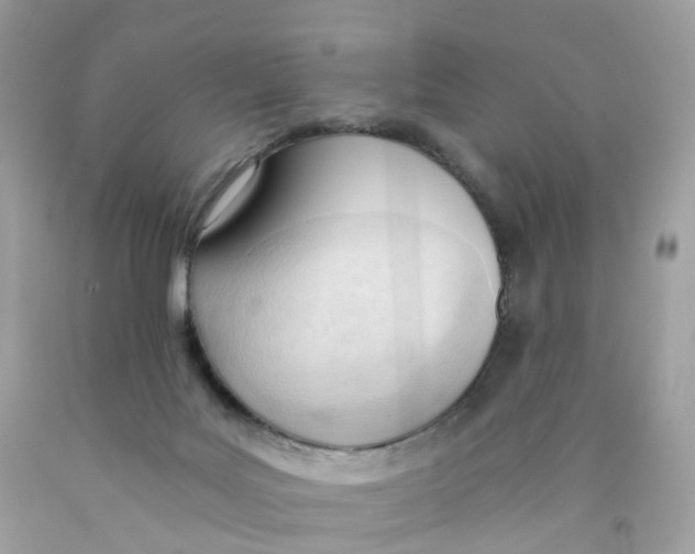 X0000089830027200707262034